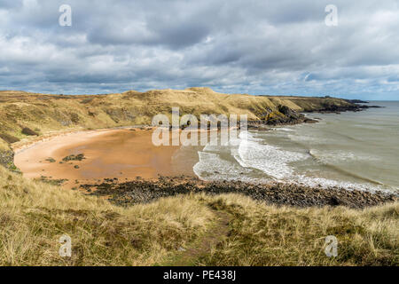 Hackley Bay vu de Forvie Réserve Naturelle. Banque D'Images