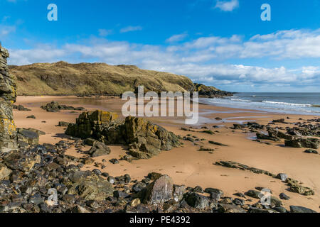 Hackley Bay Beach et la baie de Forvie Réserve Naturelle. Banque D'Images