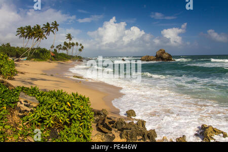 Tropical beach, Sri Lanka Banque D'Images
