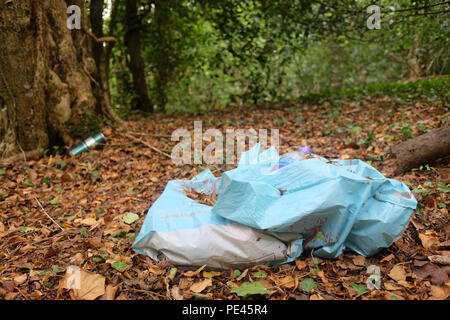 Août 2018 - Sac de détritus laissés dans les bois, la pollution en plastique Banque D'Images