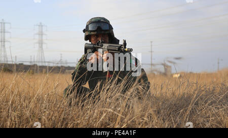 Avec Zodiac Marine, Bataillon d'infanterie de marine, les Forces mexicaines fournit la sécurité pour une patrouille dans le cadre d'un débarquement amphibie de la formation fait en collaboration avec l'aube de l'exercice 2015 de Blitz à bord Marine Corps Base Camp Pendleton, en Californie, le 5 septembre 2015. Le but de DB15 est d'établir de solides relations entre les forces de la coalition, d'inclure le Japon, le Mexique et la Nouvelle-Zélande pour renforcer les opérations dans des environnements amphibie. Banque D'Images