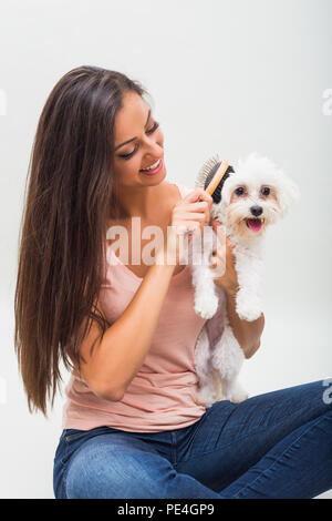 Happy female maltese dog est le peignage belle jeune femme. Banque D'Images