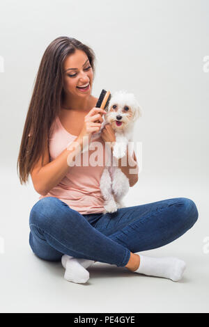 Happy female maltese dog est le peignage belle jeune femme. Banque D'Images