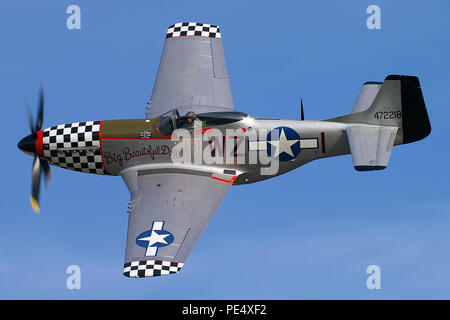 North American P-51 Mustang nommé Big Belle poupée. Seconde Guerre mondiale avion de chasse. La Seconde Guerre mondiale, deux avions de l'USAAF damier avec nez. L'avion. P51 Banque D'Images