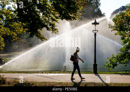 Parc Lichtentaler Allee, Baden-Baden, l'arrosage le matin, l'irrigation des espaces verts, tandis que l'ensemble de l'Allemagne est gémissant sous l'été h Banque D'Images