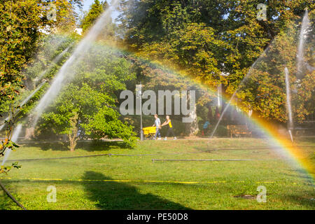 Parc Lichtentaler Allee, Baden-Baden, l'arrosage le matin, l'irrigation des espaces verts, tandis que l'ensemble de l'Allemagne est gémissant sous l'été h Banque D'Images