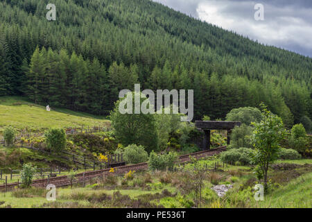 Pont de Orchy, Scotland, UK - 12 juin 2012 : colline boisée verte et marron d'une voie de chemin de fer rouillé dimensions aline sous petit pont près de Loch Tulla. Certains Banque D'Images