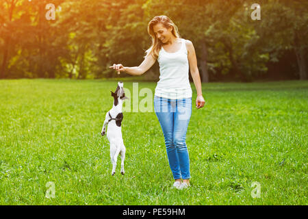 Belle femme jouit de nourrir son mignon chien Jack Russell Terrier dans la nature.Image est volontairement tonique. Banque D'Images