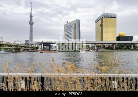 Bâtiments emblématiques comme vu de parc Sumida, à travers la rivière Sumida. Ces capacités sont des AC et Asahi Tower, Quartier Sumida, Tokyo Skytree et bureau. Banque D'Images