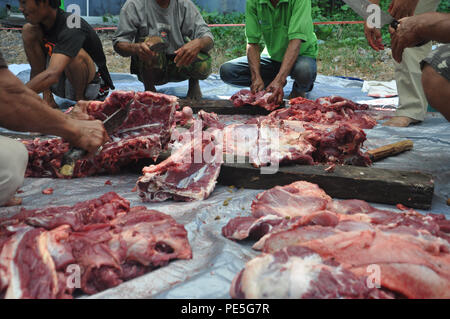 Musulmans indonésiens coupe la viande des vaches sacrificiel dans l'Aïd al-Adha le 24 septembre 2015. Banque D'Images