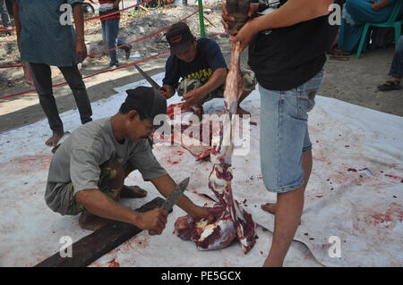 Musulmans indonésiens coupe la viande des vaches sacrificiel dans l'Aïd al-Adha le 24 septembre 2015. Banque D'Images