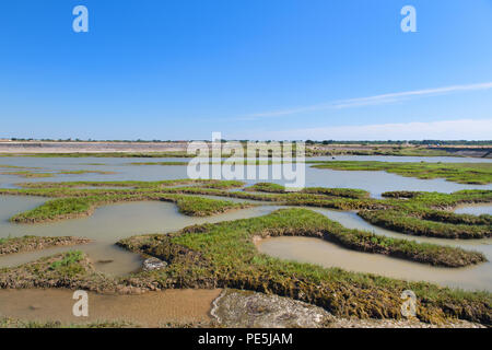 Paysage de l'île de Ré avec des lacs de sel Banque D'Images