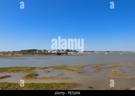 Ile de Ré avec des lacs de sel et village Loix Banque D'Images
