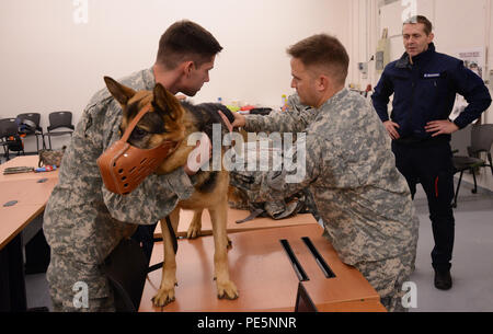 La FPC. Hunter Smith, conducteur de chien de travail militaire, détient, à la fois Bruce MWD affecté à la 525e Détachement de chien de travail militaire, comme un autre soldat vérifie son pouls pendant la lutte internationale des sauveteurs qu'a organisé, le 23 septembre 2015 dans la Caverne du Dragon sur argile Kaserne à Wiesbaden, Allemagne. (U.S. Photo de l'armée de l'information visuelle Dee Spécialiste Crawford/libérés) Banque D'Images