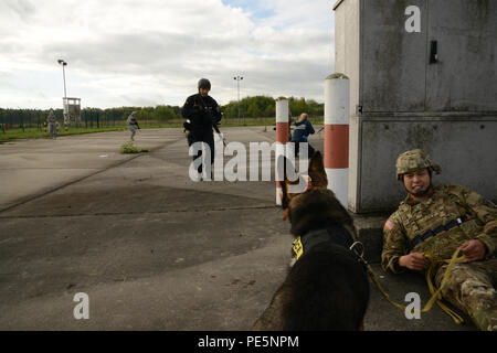 Le Sgt. 1re classe Hardenio M. Abdon Jr., avec le sergent du détachement militaire 525e Détachement de chien de travail, fait état d'un groupe de militaires blessés de chien avec son MWD, Zidane, lors d'un combat international des sauveteurs, qui se donne le 24 septembre 2015 au domaine de formation, Finthen à Finthen, Allemagne. (U.S. Photo de l'armée de l'information visuelle Dee Spécialiste Crawford/libérés) Banque D'Images