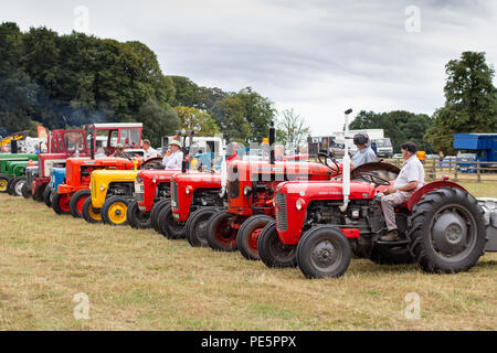 Les tracteurs d'époque en attente d'être jugé dans le ring à la Canwell pays montrent, Sutton Coldfield, près de Birmingham Banque D'Images