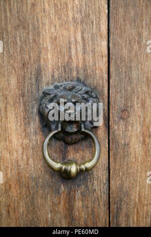 Metal lions head heurtoir sur une porte en bois non vernie Banque D'Images