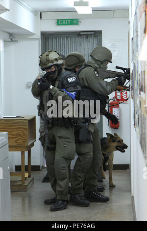 Les soldats autrichiens affecté à la Force au Kosovo la conduite de la Police militaire internationale des capacités de formation aux côtés des soldats de la Police militaire de l'armée américaine, ainsi que les chiens et leurs maîtres de travail militaire, 30 septembre 2015, le Camp Bondsteel, au Kosovo. Les soldats américains sont actuellement déployés au Kosovo avec les multinationales bataille Group-East, partie de la KFOR de l'OTAN de la mission de soutien de la paix. La journée de formation a été menée pour assurer la police militaire les équipes sont familiers avec chien de travail militaire tout en répondant à des procédures-active shooter ou situations explosives non explosées. (U.S. Photo de l'armée par le Sgt. Erick Banque D'Images