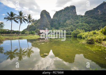 L'eau calcaire et de belles réflexions dans Rammang Rammang Park près de Makassar, au sud de Sulawesi, Indonésie Banque D'Images