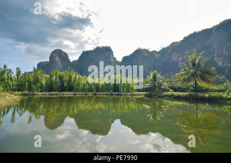 L'eau calcaire et de belles réflexions dans Rammang Rammang Park près de Makassar, au sud de Sulawesi, Indonésie Banque D'Images