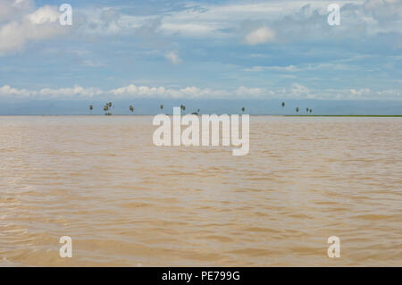 Paysages panoramiques du lac Tempe inondées dans le sud de Sulawesi, Indonésie Banque D'Images