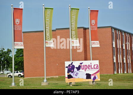 University of Prince Edward Island bâtiments, drapeaux, mascotte et un arbre sur l'Île du Prince Édouard, Canada Banque D'Images