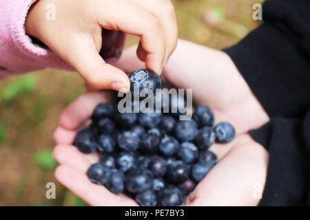 Deux holding et profiter de bleuets Banque D'Images