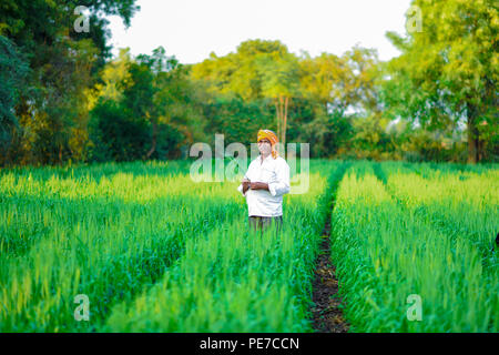 Indian farmer holding plante dans son champ de blé Banque D'Images