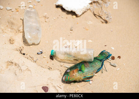 Cause la mort en plastique de millions d'animaux marins tout au long de la planète. Banque D'Images