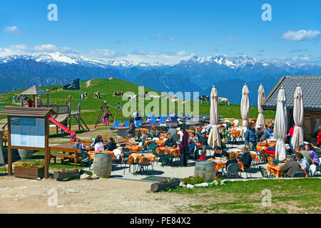 Les touristes à un pâturage d'altitude sur le Monte Baldo, Malcesine, Lac de Garde, Vérone, Vénétie, Italie Banque D'Images