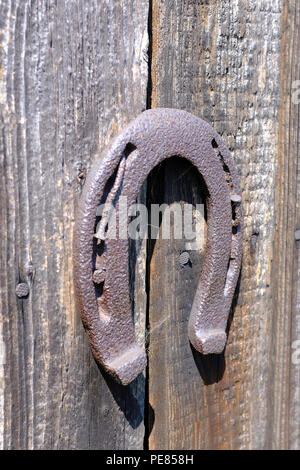 Service de chevaux sur la vieille porte de grange sur une exploitation agricole en Pologne Banque D'Images