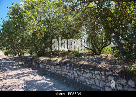 Hersonissos. Temple. les fouilles. Banque D'Images