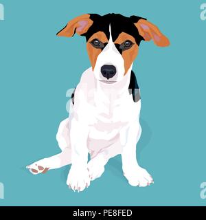 Cute Adorable Jack Russell Terrier chien assis à l'ombre sur fond bleu, l'illustration vectorielle. Illustration de Vecteur
