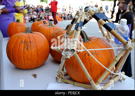 Pumpkins attendre que leurs blessures soient inspectés par Stearley Heights Elementary School Teachers après être tombé du haut de l'école le 30 octobre 2015, à Kadena Air Base, au Japon. Un total de sept équipes de la classe de 5e année ont été chargés de produire un récipient qui protège leur rupture de potiron après avoir été rayé du haut de l'immeuble. (U.S. Air Force photo par Naoto Anazawa) Banque D'Images