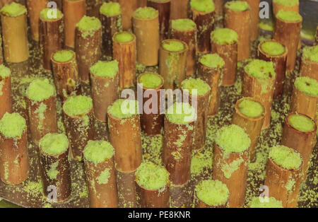 Putu bambu, malaisienne et indonésienne traditionnelle cuite doux avec de la farine de riz, feuilles de pandan, sucre de palme, de coco et de la vapeur dans les tuyaux de bambou à la C Banque D'Images