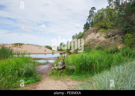 Ville Saulkrasti, la Lettonie. Rochers et rivière, la mer. L'herbe verte, les arbres et le soleil. La nature à la mer Baltique. Photos de voyage. Belle nature lettone. 2018 Banque D'Images