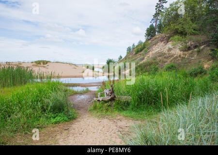 Ville Saulkrasti, la Lettonie. Rochers et rivière, la mer. L'herbe verte, les arbres et le soleil. La nature à la mer Baltique. Photos de voyage. Belle nature lettone. 2018 Banque D'Images
