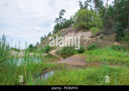 Ville Saulkrasti, la Lettonie. Rochers et rivière, la mer. L'herbe verte, les arbres et le soleil. La nature à la mer Baltique. Photos de voyage. Belle nature lettone. 2018 Banque D'Images