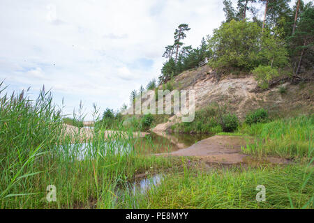 Ville Saulkrasti, la Lettonie. Rochers et rivière, la mer. L'herbe verte, les arbres et le soleil. La nature à la mer Baltique. Photos de voyage. Belle nature lettone. 2018 Banque D'Images