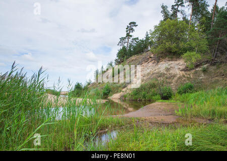 Ville Saulkrasti, la Lettonie. Rochers et rivière, la mer. L'herbe verte, les arbres et le soleil. La nature à la mer Baltique. Photos de voyage. Belle nature lettone. 2018 Banque D'Images