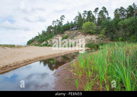 Ville Saulkrasti, la Lettonie. Rochers et rivière, la mer. L'herbe verte, les arbres et le soleil. La nature à la mer Baltique. Photos de voyage. Belle nature lettone. 2018 Banque D'Images