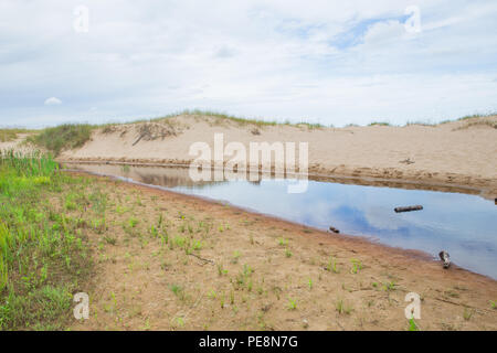 Ville Saulkrasti, la Lettonie. Rochers et rivière, la mer. L'herbe verte, les arbres et le soleil. La nature à la mer Baltique. Photos de voyage. Belle nature lettone. 2018 Banque D'Images
