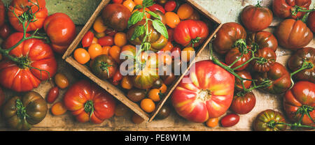 Télévision -jeter de tomates colorées frais divers