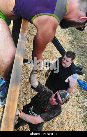 Tough Mudder concurrents s'aider mutuellement à surmonter le Mur de Berlin au cours de la Floride centrale Tough Mudder à Palm Bay, en Floride, 7 nov. Le Tough Mudder réunit les gens à s'engager dans une série de défis qui pousse non seulement aux participants de leurs limites physiques, mais aussi leurs tests de grit mentale à travers les obstacles. Banque D'Images