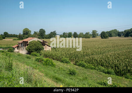 Paysage rural le long de la piste cyclable po près de Guardamiglio et San Rocco al Porto (Lodi, en Lombardie, Italie) à l'été Banque D'Images