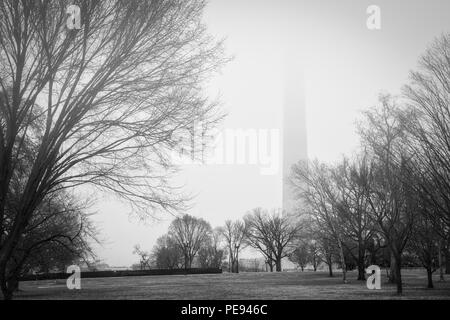 Un jour brumeux près du Monument de Washington à Washington DC. Banque D'Images
