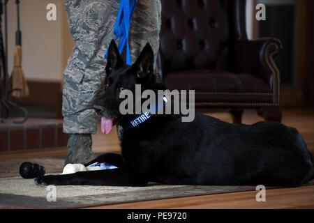 Chien de travail militaire Ficko, un berger allemand, a pris sa retraite à la Moody Air Force base, en Géorgie, après avoir rejoint l'Air Force en août 2005 à l'âge de six mois à la Lackland Air Force base, au Texas. Affecté au 23e escadron des forces de sécurité, Ficko a servi pendant 10 ans, effectuant des missions de détection d'explosifs, de sécurité de la base et de soutien opérationnel. La cérémonie de départ à la retraite comprenait du personnel, des manutentionnaires et des prix pour reconnaître les contributions, l’entraînement et le service du chien à la Force aérienne, soulignant l’importance des MWD dans les opérations de sécurité. Banque D'Images