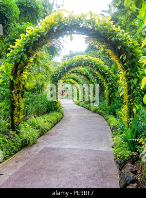 Singapour - 12 juillet 2018 : National Orchid Garden at Singapore Botanic Gardens Banque D'Images