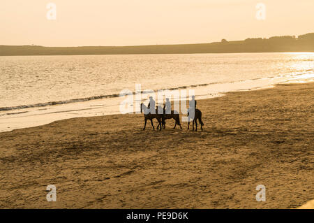 Groupe d'amis à cheval dans la mer à l'île de Barry, Vale of Glamorgan, Pays de Galles. PHILLIP ROBERTS Banque D'Images