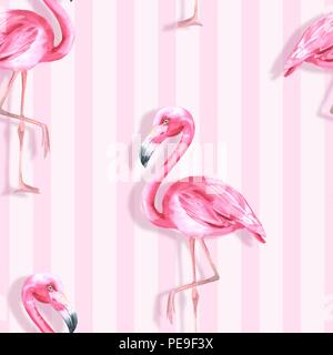 Des oiseaux tropicaux. Flamant rose. Motif transparent aquarelle Banque D'Images